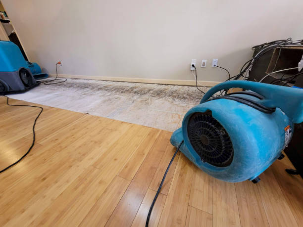 Professional Water Extraction technician working in Quilcene, WA